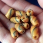 Африканские стеклянные бусины Кробо - African Ghana Krobo Beads. Лот из десяти бусин Африканские стеклянные бусины Кробо - African Ghana Krobo Beads. Лот из десяти б